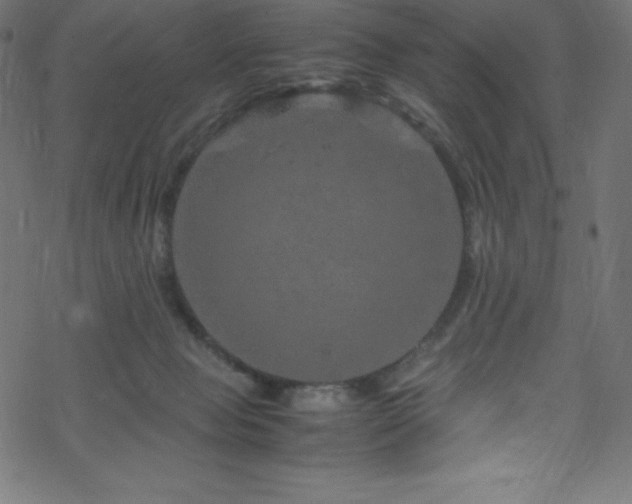 X0000070230077200605301506