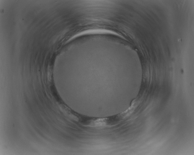 X0000070230078200605301506