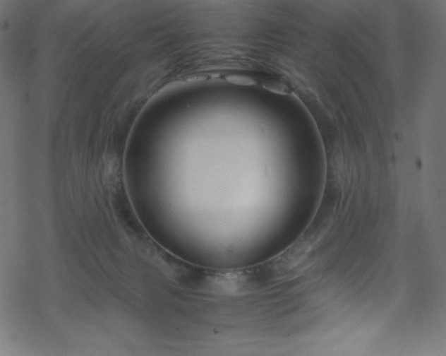 X0000070230079200605301506