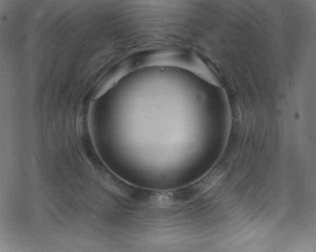 X0000070230080200605301506