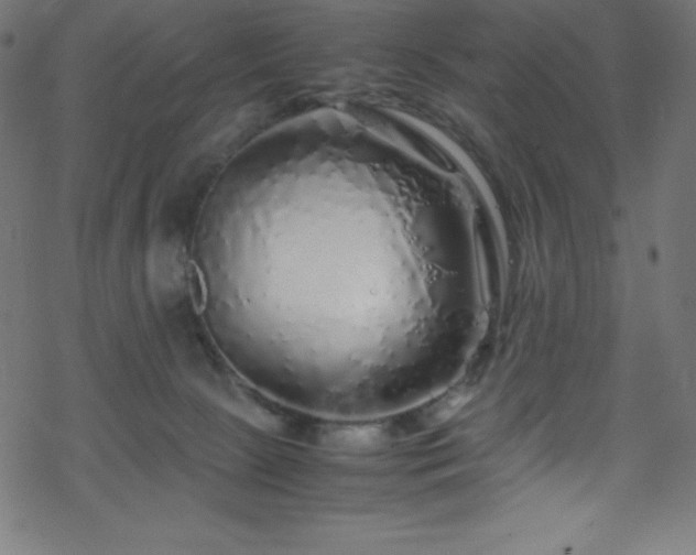 X0000070230081200605301506