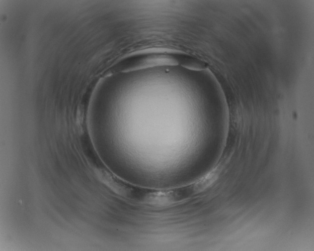 X0000070230082200605301506