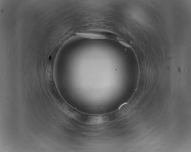 X0000070230083200605301506