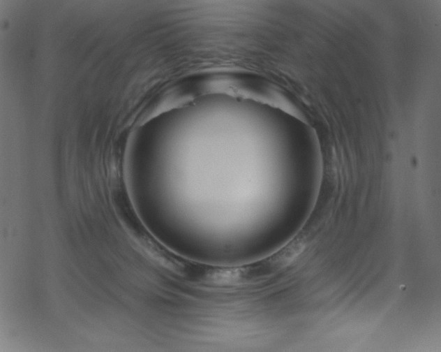 X0000070230084200605301506