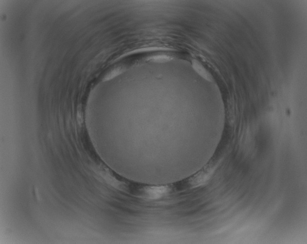 X0000070230085200605301506