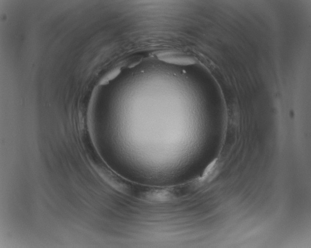 X0000070230086200605301506