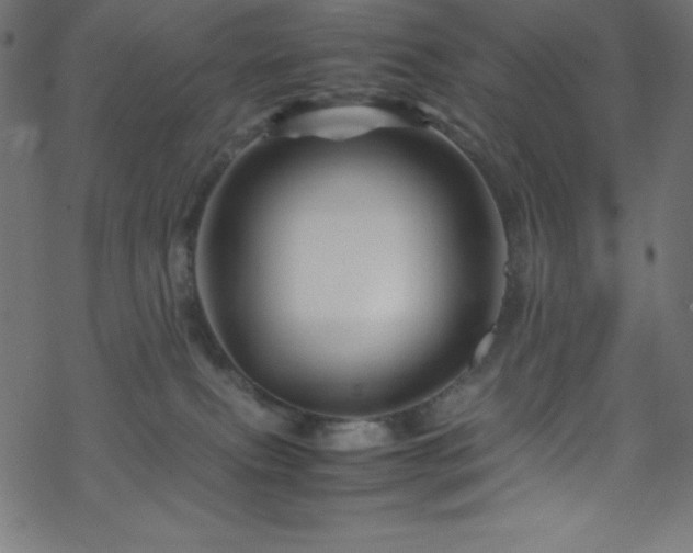 X0000070230087200605301506