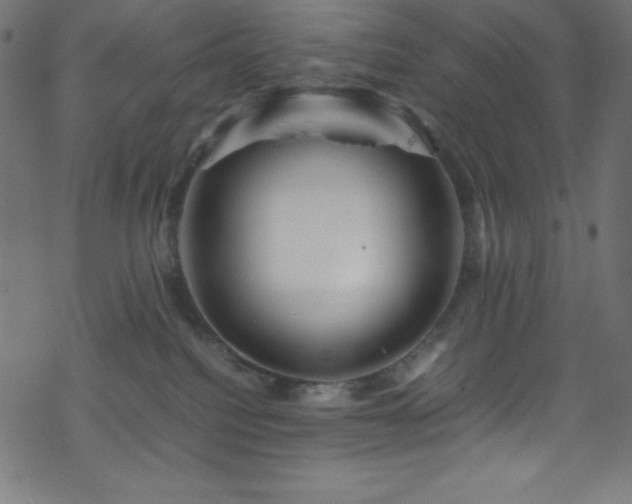 X0000070230088200605301506