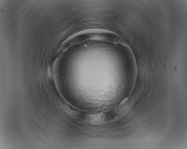 X0000070230089200605301506