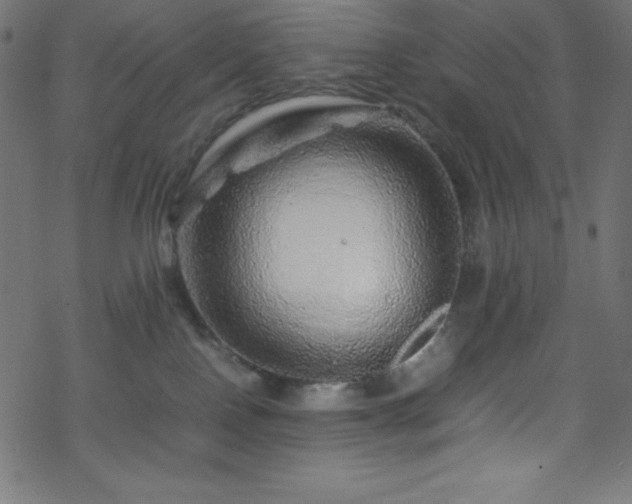 X0000070230090200605301506