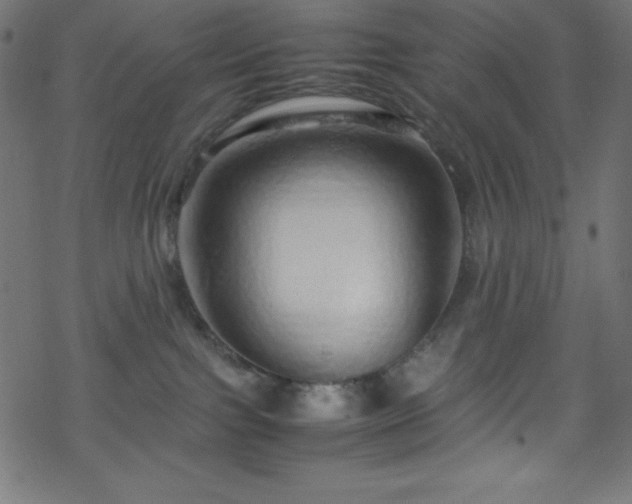 X0000070230091200605301506