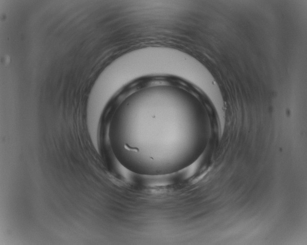 X0000070230092200605301506