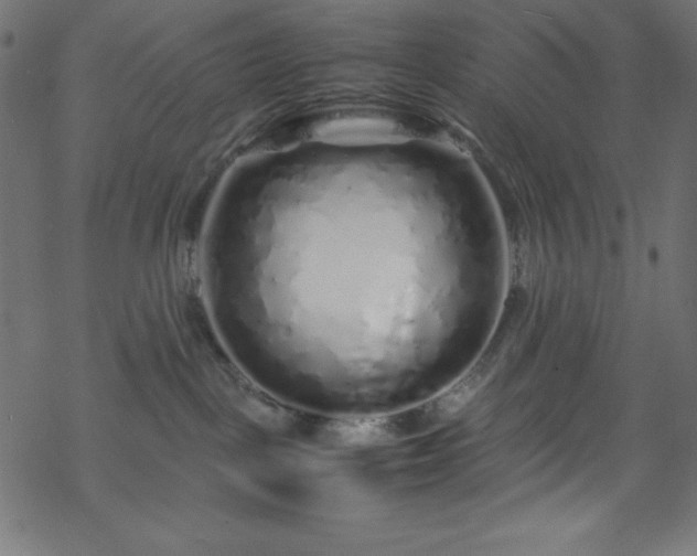 X0000070230093200605301506