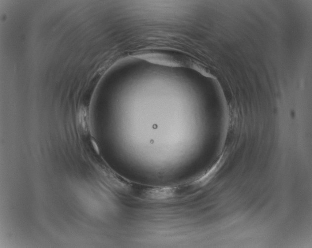 X0000070230094200605301506