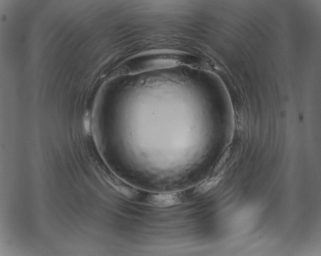 X0000070230095200605301506