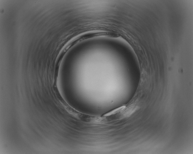 X0000070230096200605301506