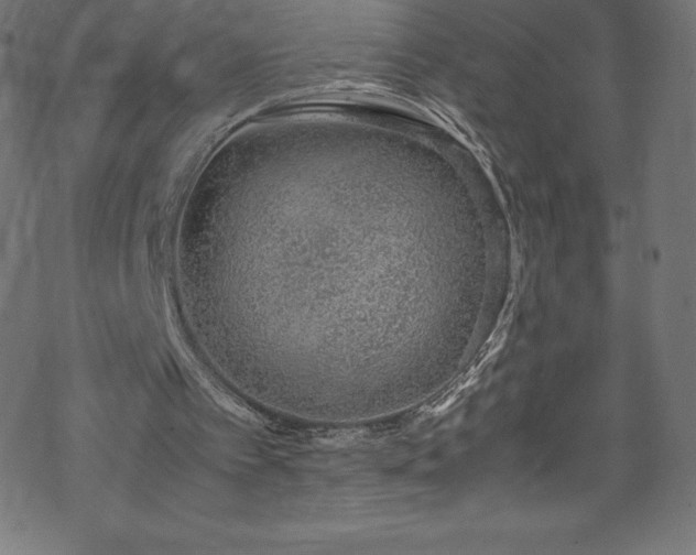 X0000070230097200605301505