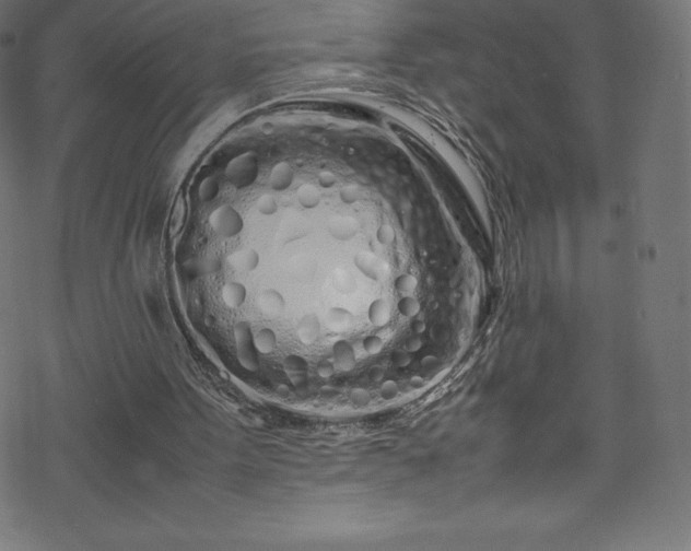 X0000070230099200605301505