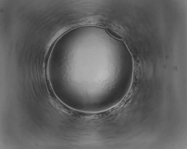 X0000070230100200605301505