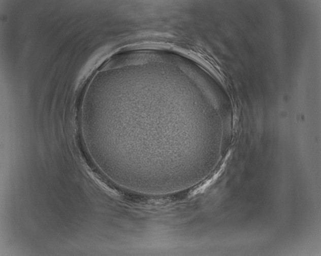 X0000070230101200605301505