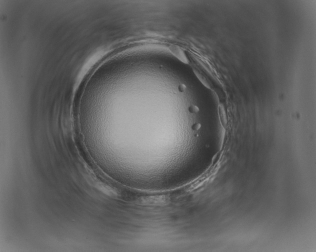 X0000070230102200605301505