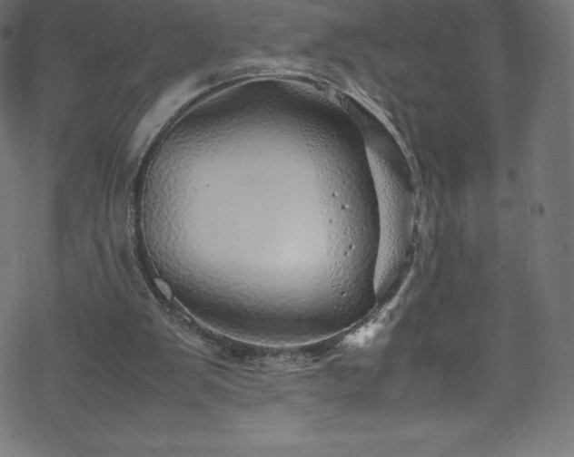 X0000070230103200605301505