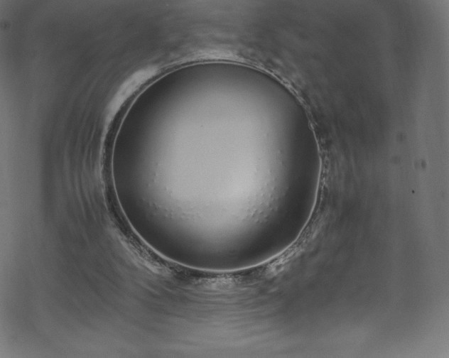 X0000070230104200605301505