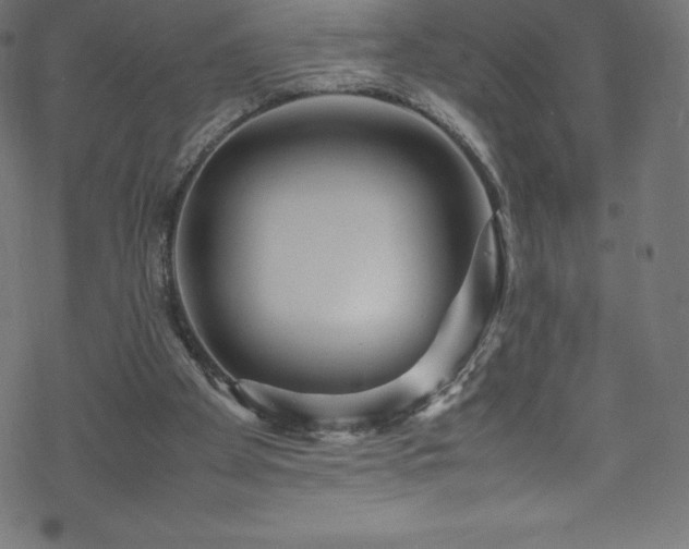 X0000070230105200605301505