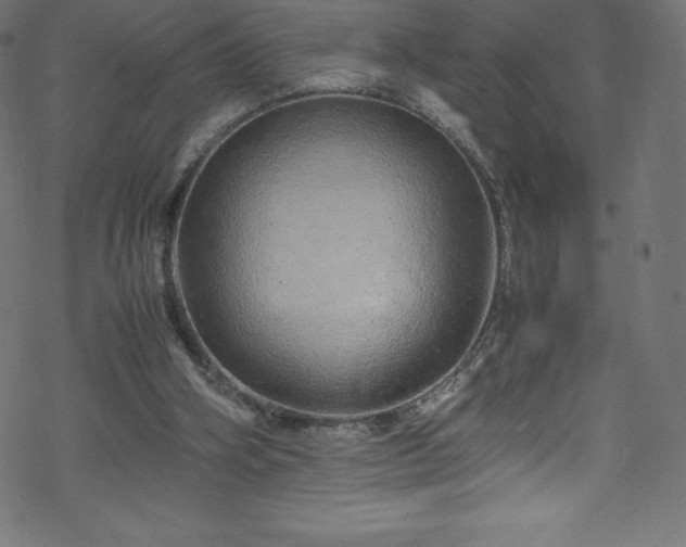 X0000070230106200605301505