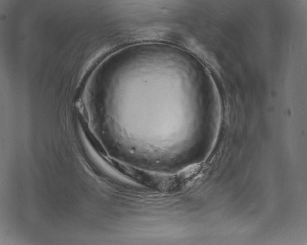 X0000070230107200605301505