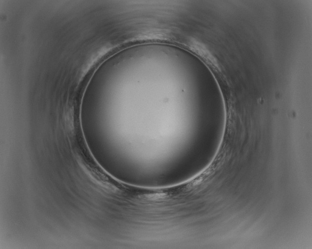 X0000070230108200605301505