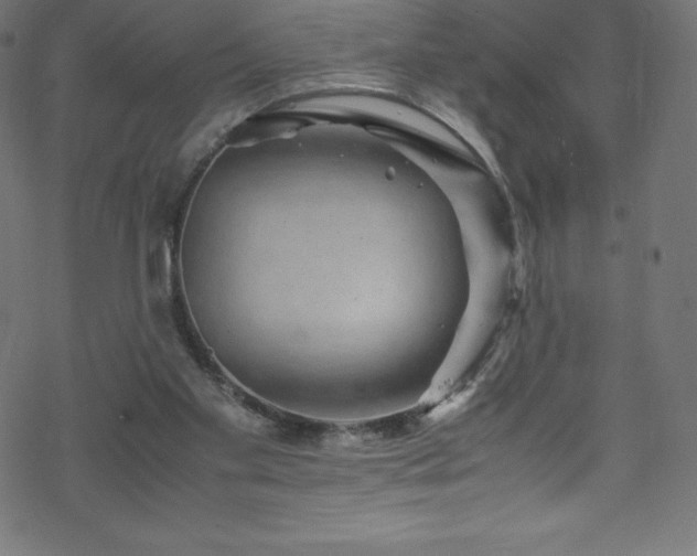 X0000070230109200605301505