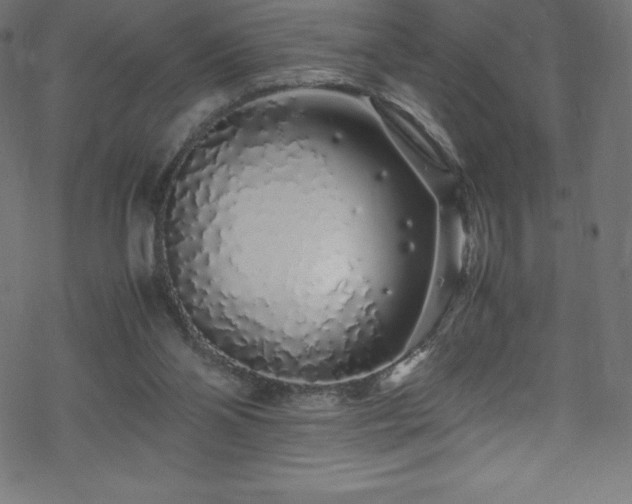 X0000070230110200605301505