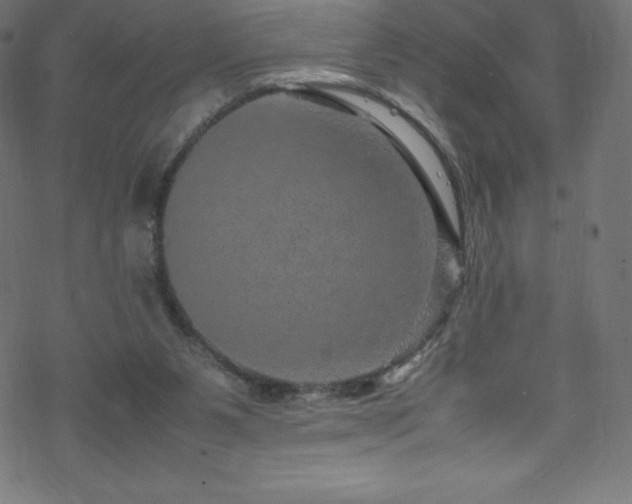 X0000070230111200605301505