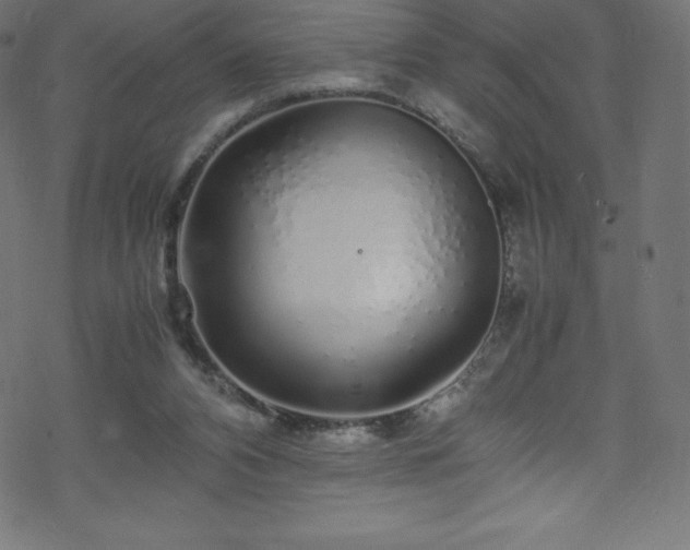 X0000070230112200605301505