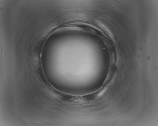 X0000070230113200605301505