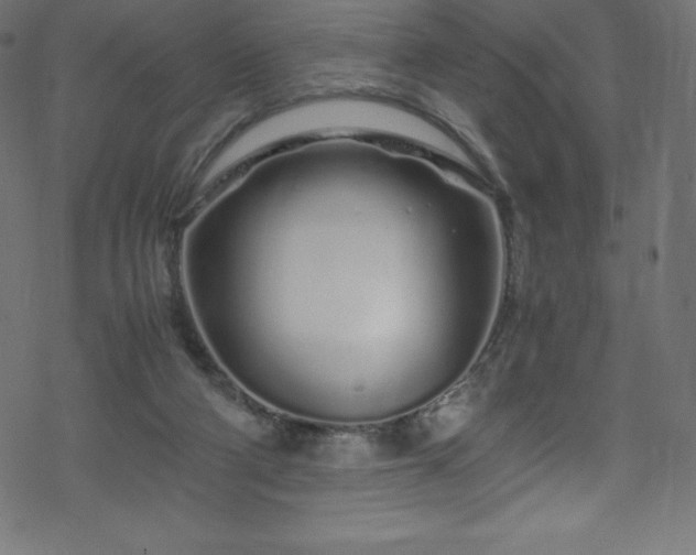 X0000070230114200605301505