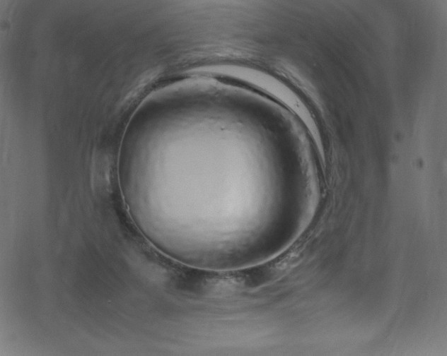 X0000070230115200605301505