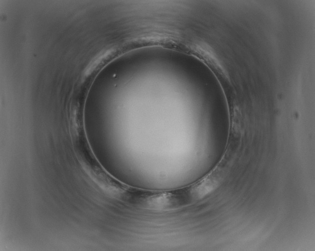 X0000070230116200605301505