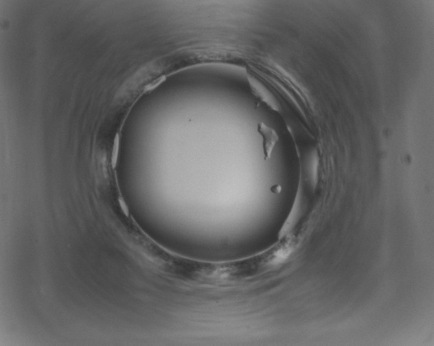 X0000070230117200605301505