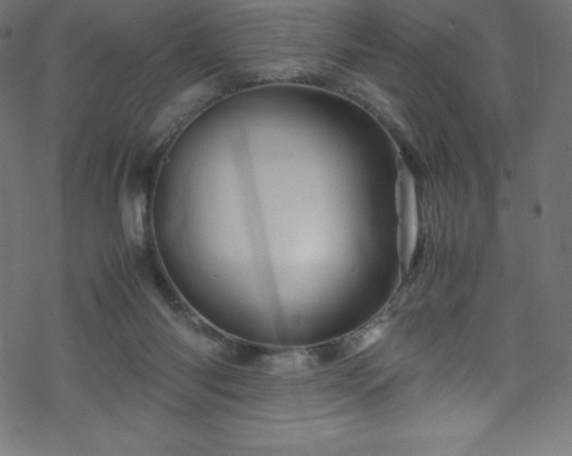 X0000070230118200605301505