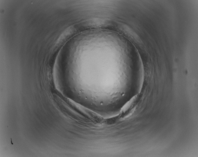 X0000070230119200605301505