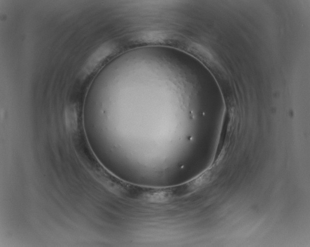 X0000070230120200605301505