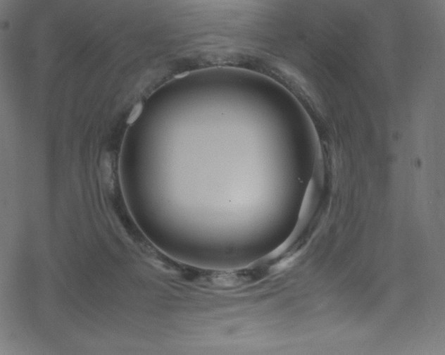 X0000070230121200605301505