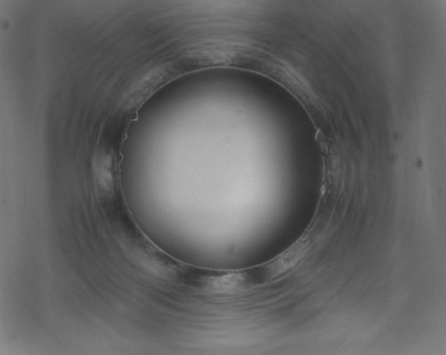 X0000070230122200605301505