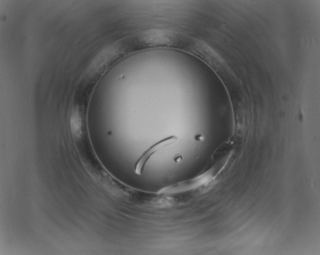 X0000070230124200605301505