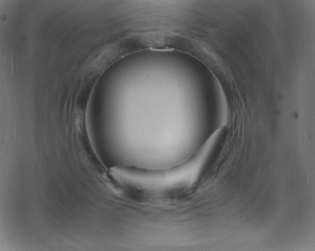 X0000070230125200605301505