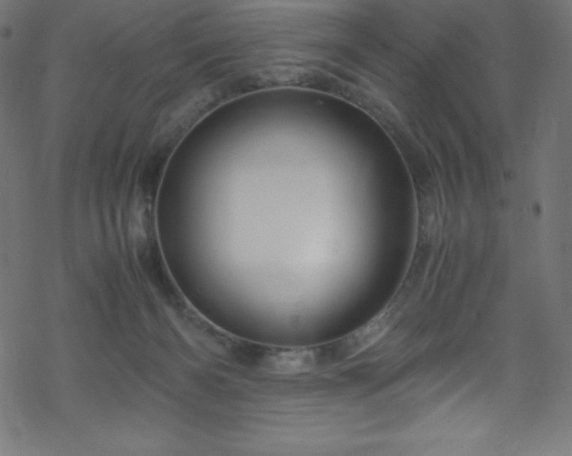 X0000070230126200605301505