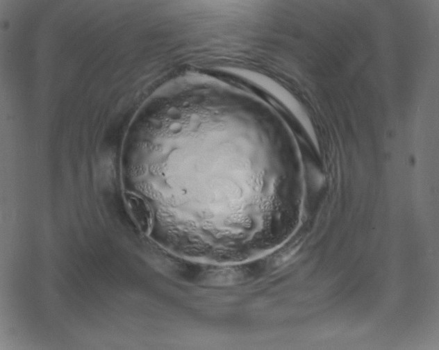 X0000070230127200605301505