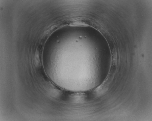 X0000070230128200605301505